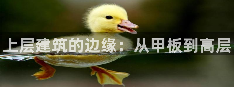 和记娱乐手机官网