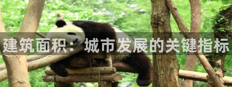 和记 官网：建筑面积：城市发展的关键指标