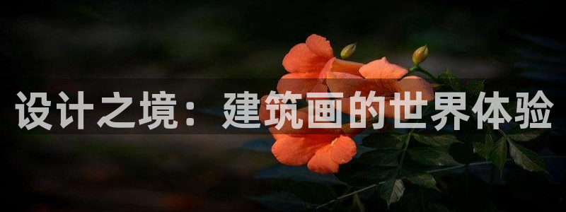 和记娱可信赖h88285官网：设计之境：建筑画的世界体验