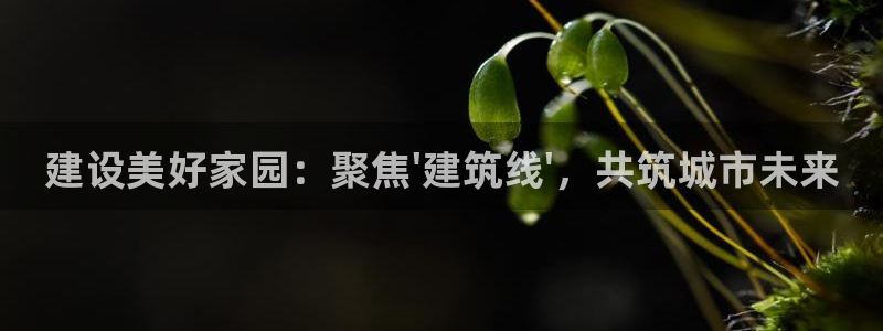 和记娱真心推荐h88285官网