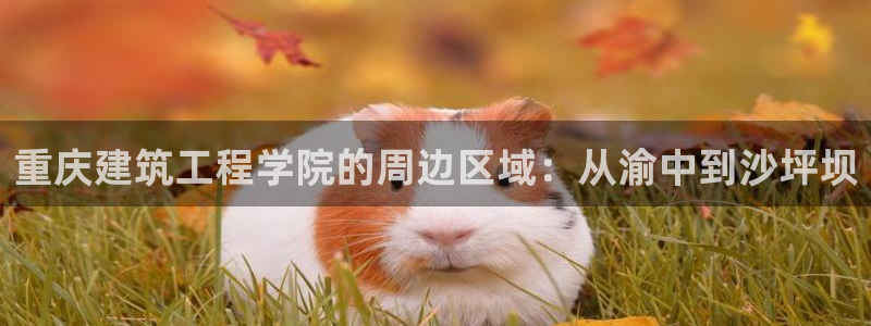 白云 和记黄埔官网电话：重庆建筑工程学院的周边区域：从渝中到沙坪坝