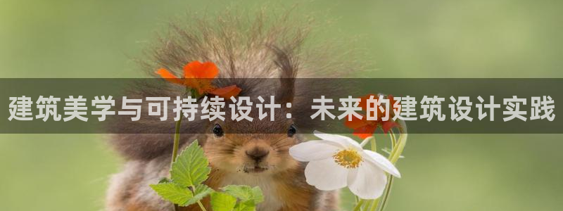 和记h8官网：建筑美学与可持续设计：未来的建筑设计实践