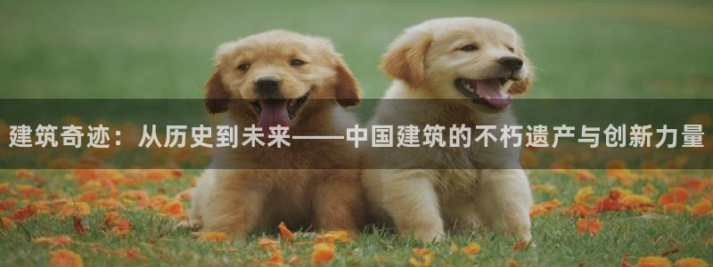 长江和记有限公司官网：建筑奇迹：从历史到未来——中国建筑的不朽遗产与创新力量