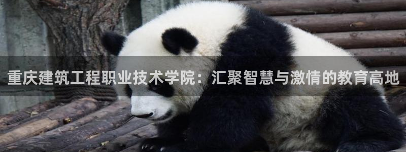 印尼和记官网