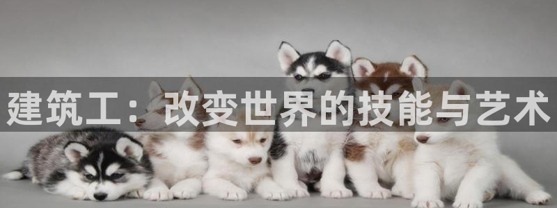 和记娱乐 官网