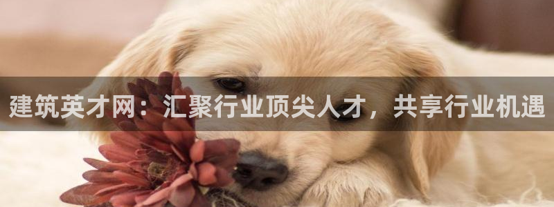 和记娱技精h88285官网：建筑英才网：汇聚行业顶尖人才，共享行业机遇
