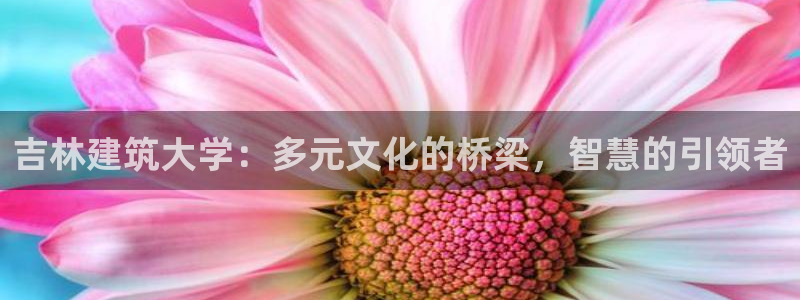 h88和记官网登录：吉林建筑大学：多元文化的桥梁，智慧的引领者