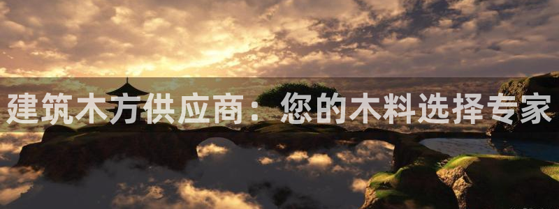 和记娱哪个位置h88285官网：建筑木方供应商：您的木料选择专家