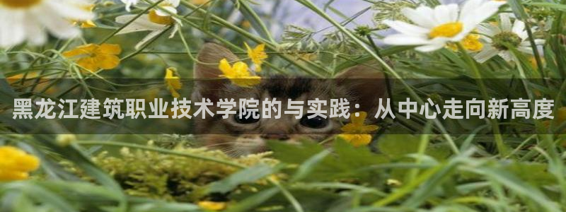 菲律宾和记官网