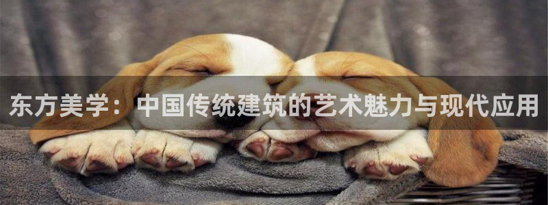 重庆和记黄埔官网