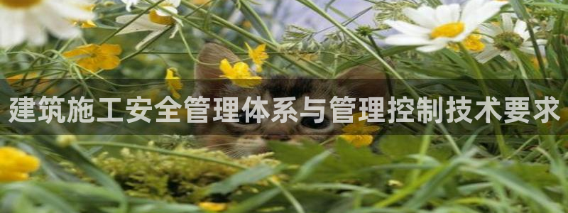 白云 和记黄埔官网电话