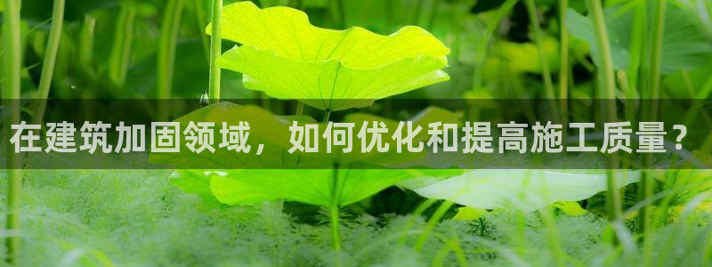 和力记易官网：在建筑加固领域，如何优化和提高施工质量？