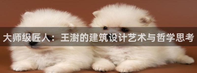 和记娱的确好h88285官网