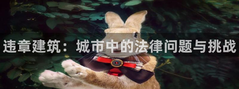 和记娱乐怡情博官网