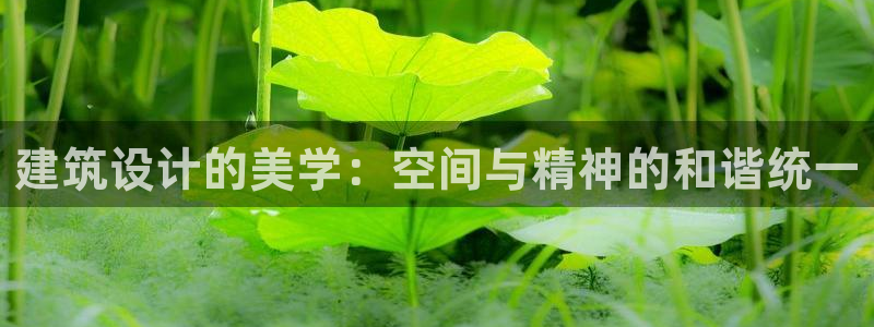 和记娱真心推荐h88285官网