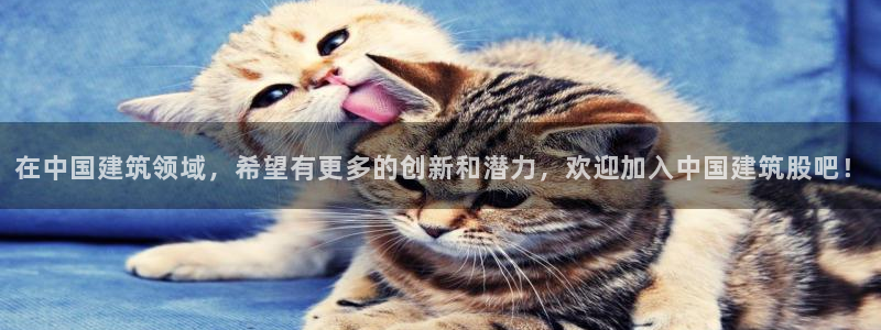 和记国际平台官网：在中国建筑领域，希望有更多的创新和潜力，欢迎加入中国建筑股吧！
