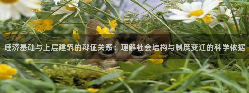 香港和记集团官网