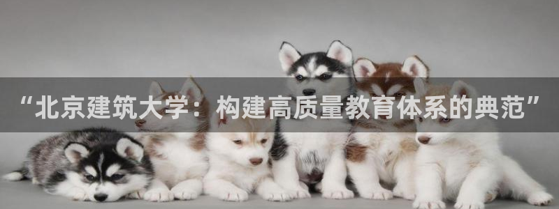 和记官网登录