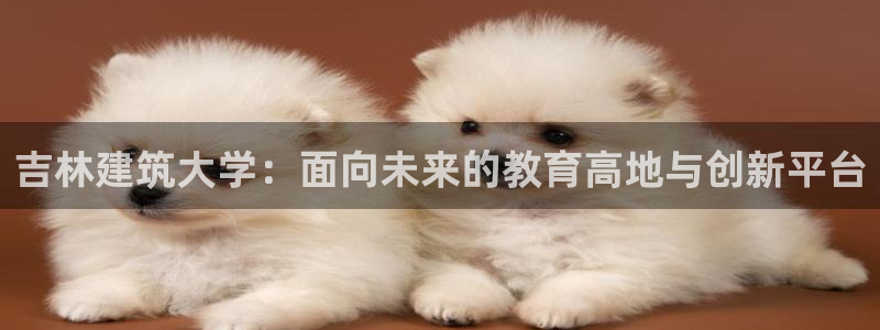 和记官网 (中国区)官方网站