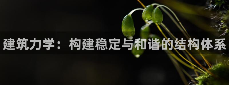 和记娱乐唯一官网