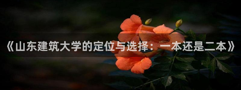 和记3香港 官网