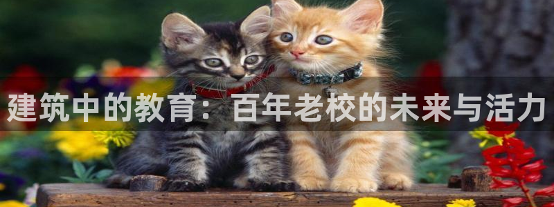 和记混凝土官网