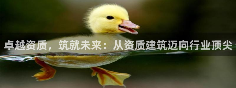 和记备用网官网开户