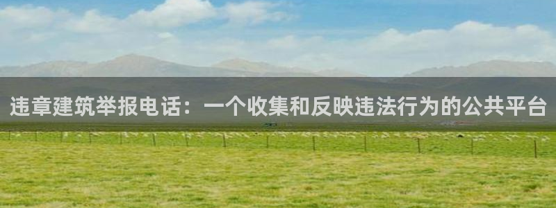 和记官网app是谁的