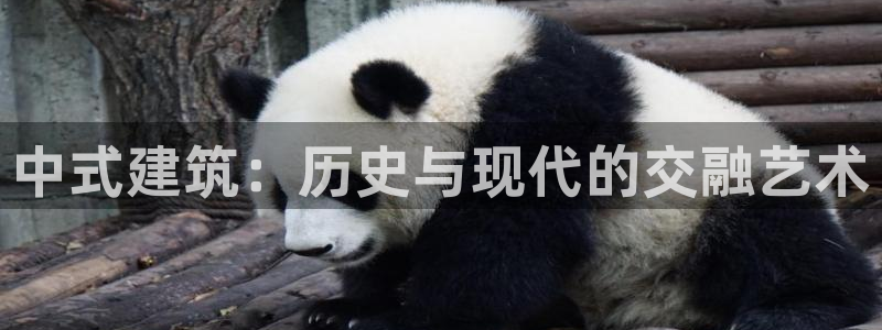 和记手机版官网