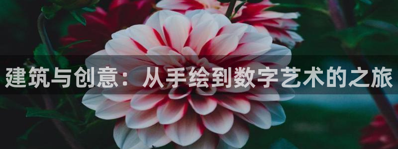 成都和记黄埔官网